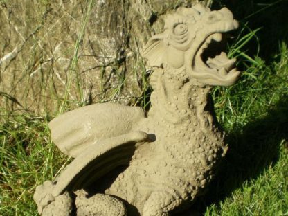 Drache fauchend