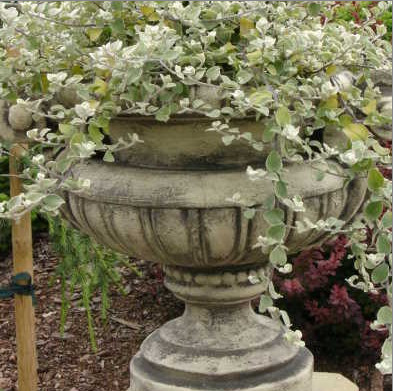 Gefäß Pentola Gefäß Pentola