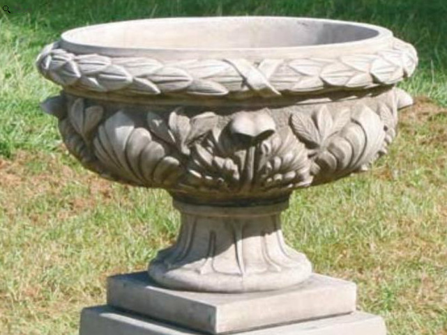 Schale Dorset2 Schale Dorset2