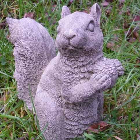 Eichhörnchen Boris mit Nuss Eichhörnchen Boris mit Nuss