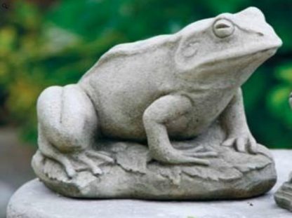 Frosch auf Stein sitzend2