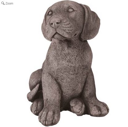 Hund Welpe Basil