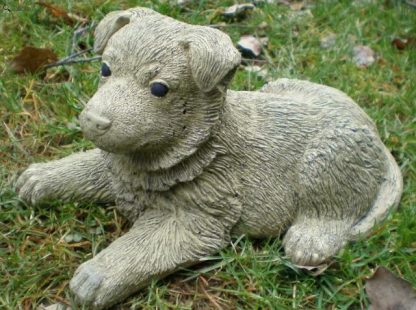 Hund Welpe Tommy2