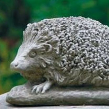 Igel auf Stein klein
