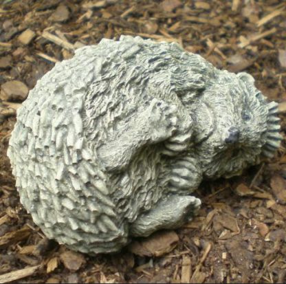 Igel mini A gerollt