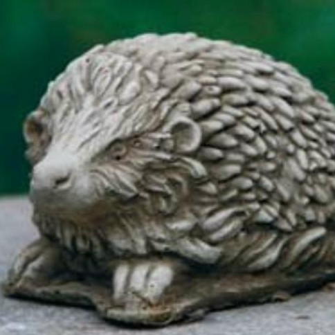 Igel mini abwartend Igel mini abwartend