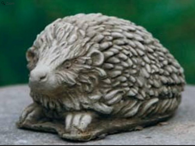 Igel mini abwartend2 Igel mini abwartend2