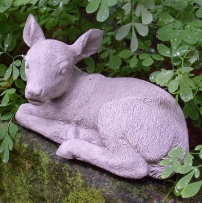 Rehkitz Capreolus schlafend mini