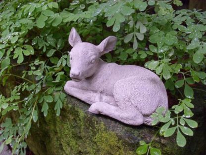 Rehkitz Capreolus schlafend mini2