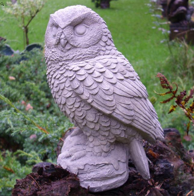 Vogel Eule Aridia Kopf links Vogel Eule Aridia Kopf links