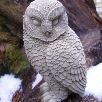 Vogel Schleiereule Alba seitlich