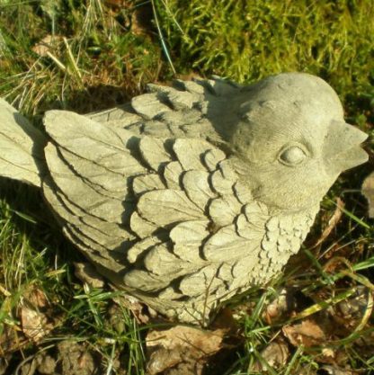 Vogel Sperling groß