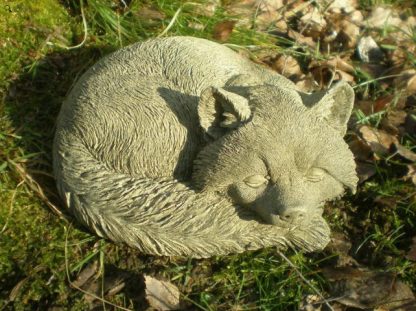Waschbär Fauler2
