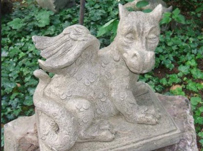 Drache Dragoplate auf Platte2