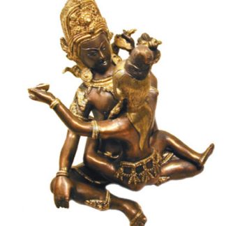 Tantra Buddha-Shakti 27cm