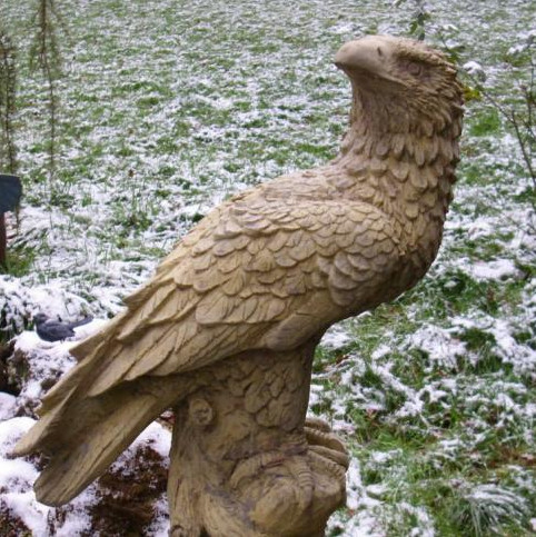 Seeadler Arhab auf Baumstumpf Seeadler Arhab auf Baumstumpf
