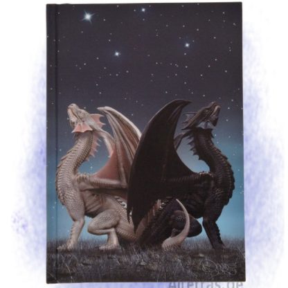 Blankobuch Tagebuch Draconis