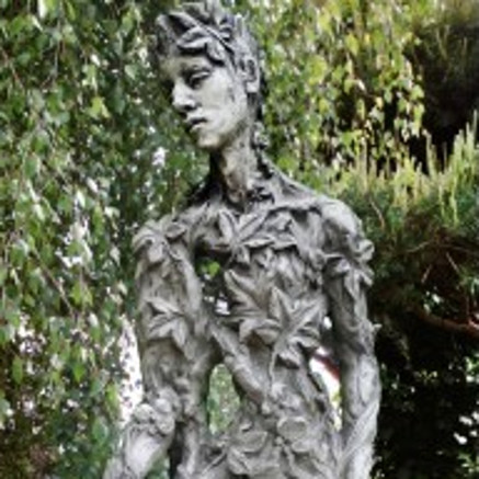 Elf Baumhüter Artur König der Natur Elf Baumhüter Artur König der Natur