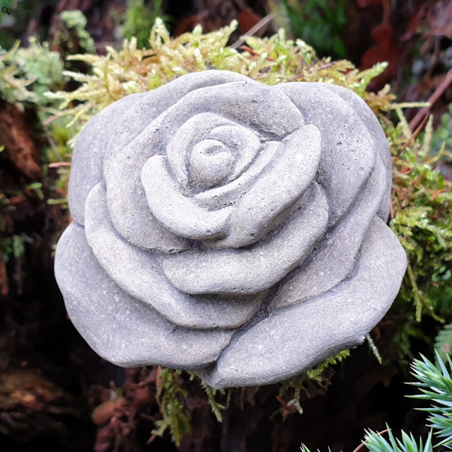 Klassiker Rosenblüte mittel Klassiker Rosenblüte mittel - Klassiker Rosenblüte mittel